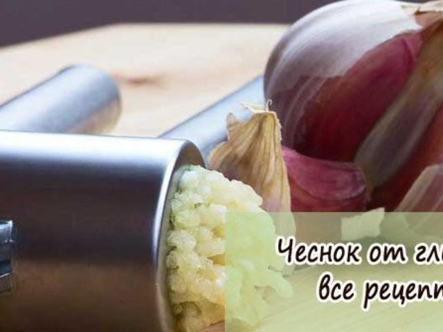 Чеснок от паразитов, глистов и остриц: как принимать? Народные рецепты  с чесноком против паразитов, глистов и остриц у взрослых и детей с молоком, кефиром, лимоном, с семенами тыквы и льна. Помогает ли чеснок от глистов и паразитов: отзывы