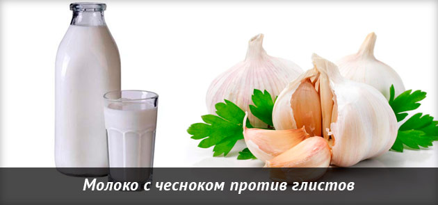 Клизмы из молока и чеснока от глистов