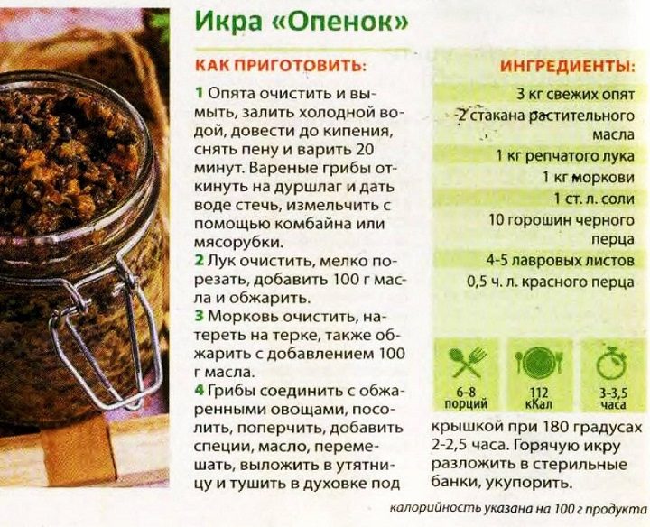 Грибная икра из опят: рецепт