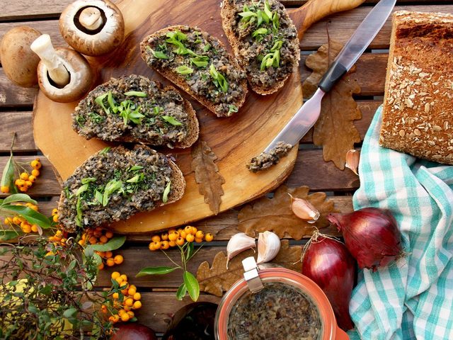 Вкусная икра грибная на зиму из вареных, сушеных, замороженных, соленых грибов и ножек маслят, белых грибов, подосиновиков, подберезовиков, шампиньонов, сыроежек, груздей, моховиков: лучшие рецепты