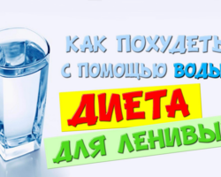Самая простая диета для самых ленивых — минус 12 кг за 2 недели: описание, правила, преимущества, недостатки, отзывы