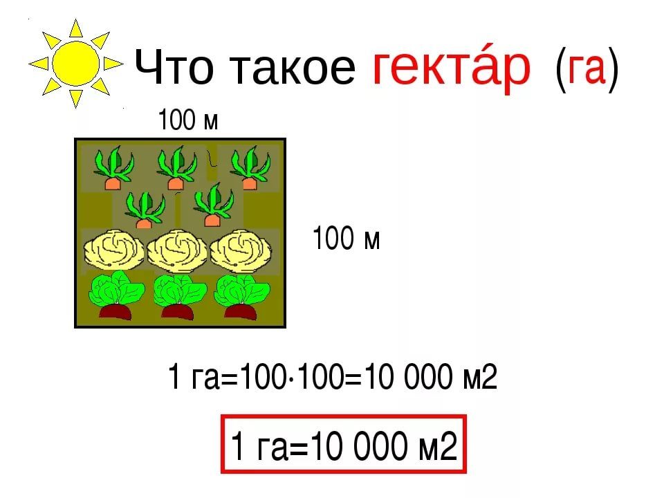 Что такое гектар?