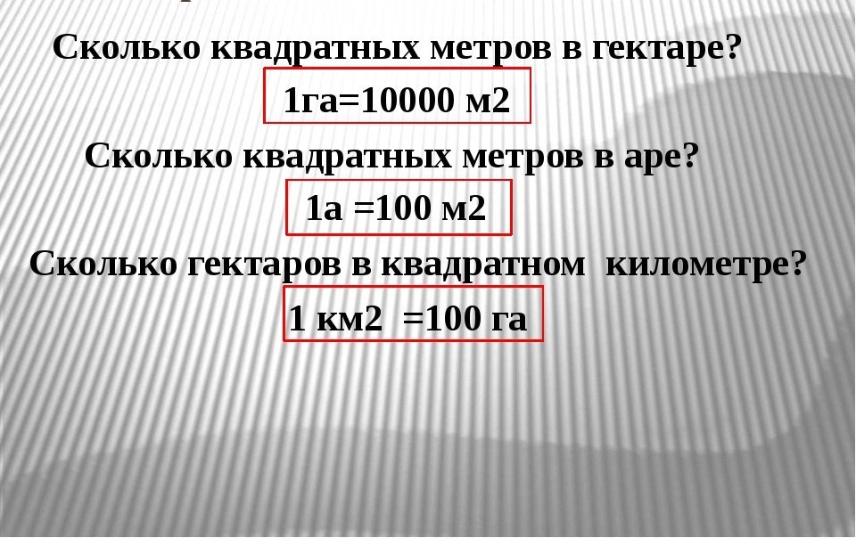 Сколько квадратных километров в гектаре?