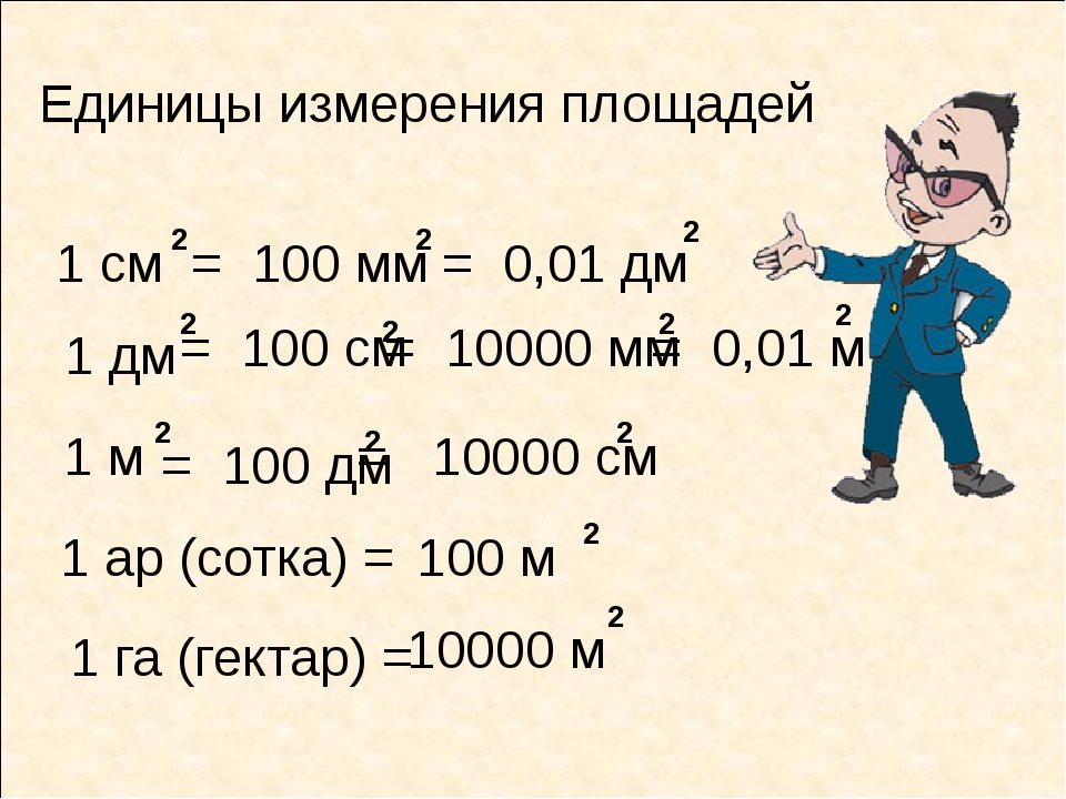 Сколько метров квадратных в сотках?