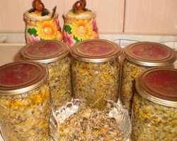 Икра грибная на зиму из опят: лучшие рецепты приготовления. Вкусные рецепты грибной икры из опят с чесноком, морковью и луком, помидорами, из маринованных, замороженных, сушеных, вареных, ножек, опят на зиму