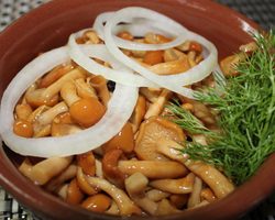Грибы опята маринованные и жареные на зиму: вкусные рецепты. Маринад для опят на 1 литр воды: лучшие рецепты на зиму. Как чистить и обрабатывать грибы опята после сбора? Как и сколько минут по времени варить и жарить грибы опята до готовности?