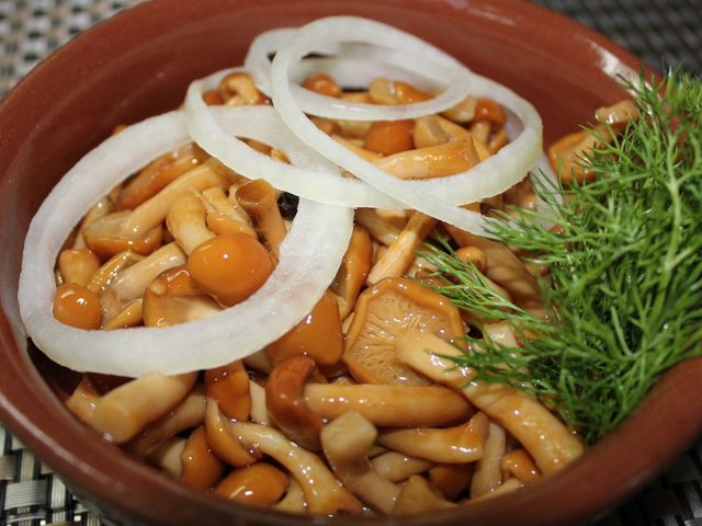 Грибы опята маринованные и жареные на зиму: вкусные рецепты. Маринад для опят на 1 литр воды: лучшие рецепты на зиму. Как чистить и обрабатывать грибы опята после сбора? Как и сколько минут по времени варить и жарить грибы опята до готовности?