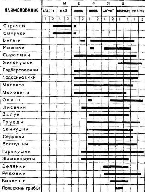 Грибной календарь