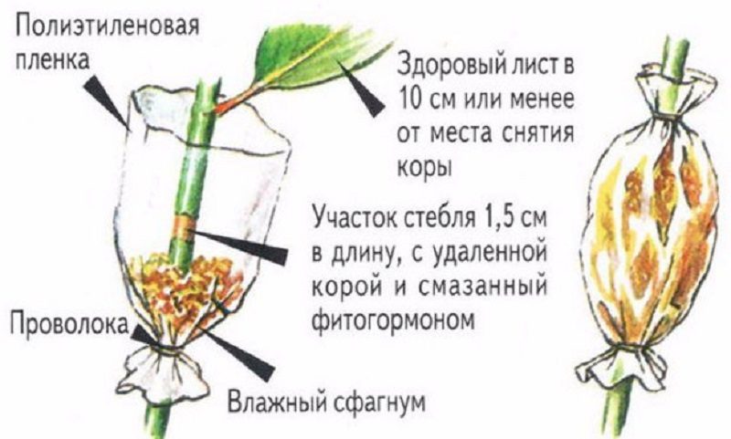 Как делать воздушные отводки