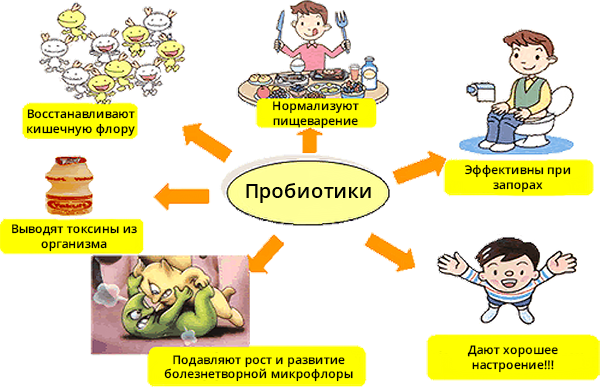 Действие пробиотика