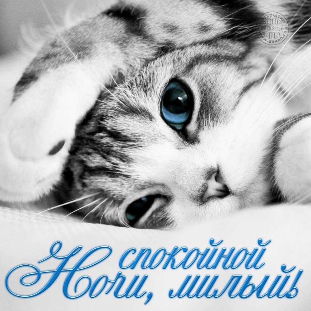 Как пожелать спокойной ночи любимому?