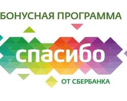 Можно ли оплатить заказ бонусами Спасибо от Сбербанка на Алиэкспресс?