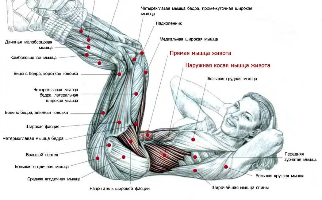 Можно ли и нужно ли качать пресс каждый день мужчине, девушке, чтобы убрать живот, будет ли результат?