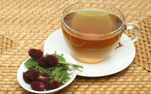 Кровохлебка лекарственная