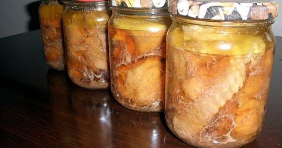 Домашняя тушенка из лосятины: вкусный и быстрый рецепт в автоклаве
