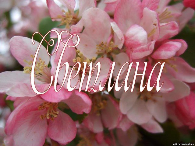 Женское имя Светлана — что означает: описание имени. Имя девочки Светлана: тайна, значение имени в православии, расшифровка, характеристика, судьба, происхождение, совместимость с мужскими именами, национальность