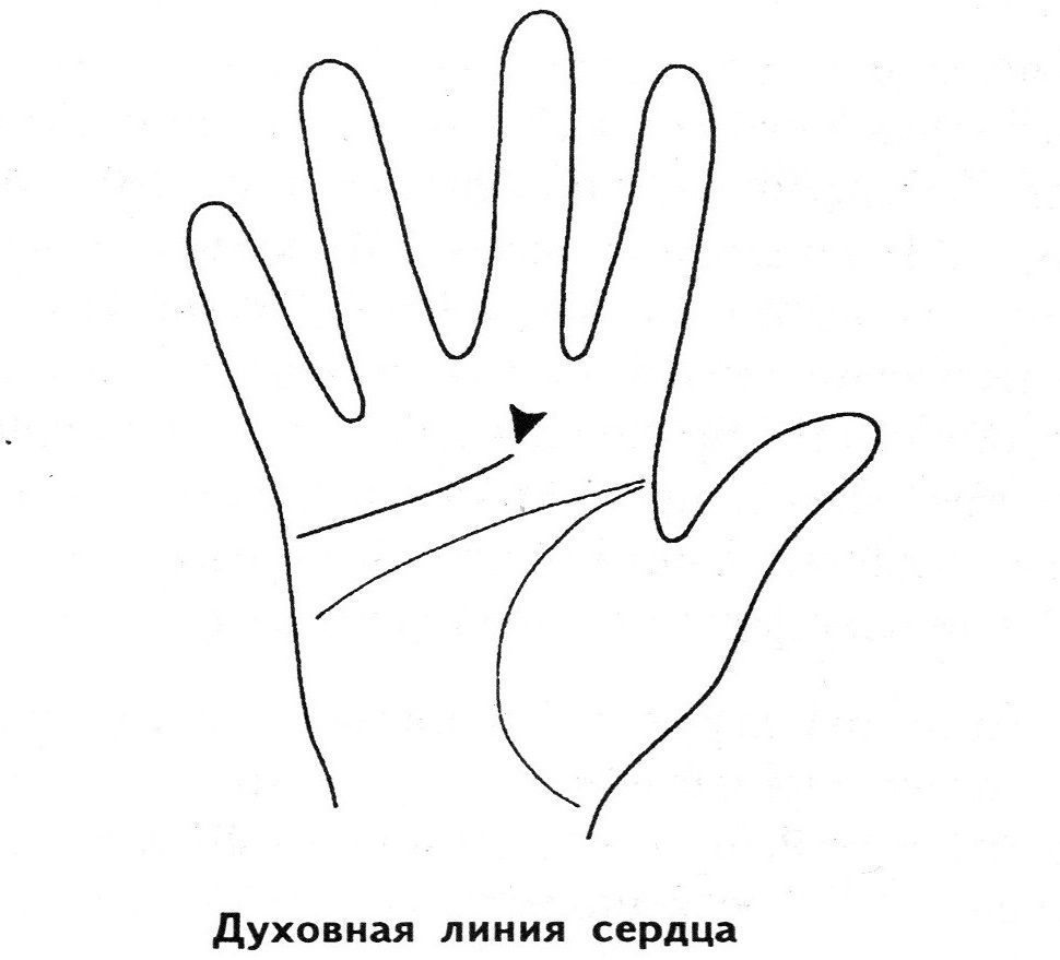 Духовная линия сердца - показатель интровертов