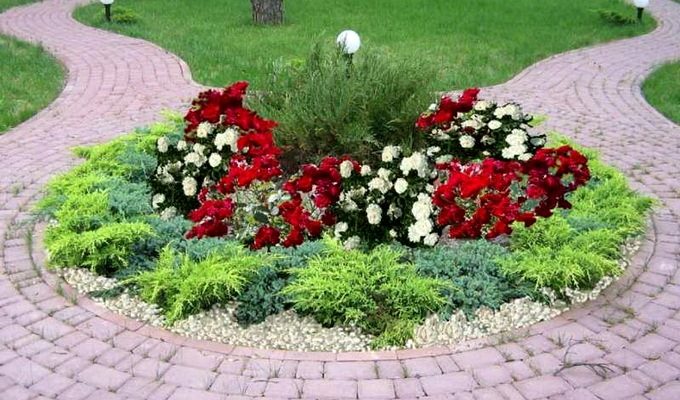 Альпийская горка с миниатюрными розами, можжевельником
