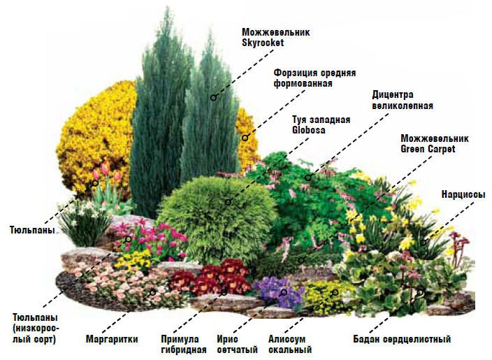 На альпийской горке можно сажать многолетние травы и цветы, карликовые деревья и мелкие кустарники