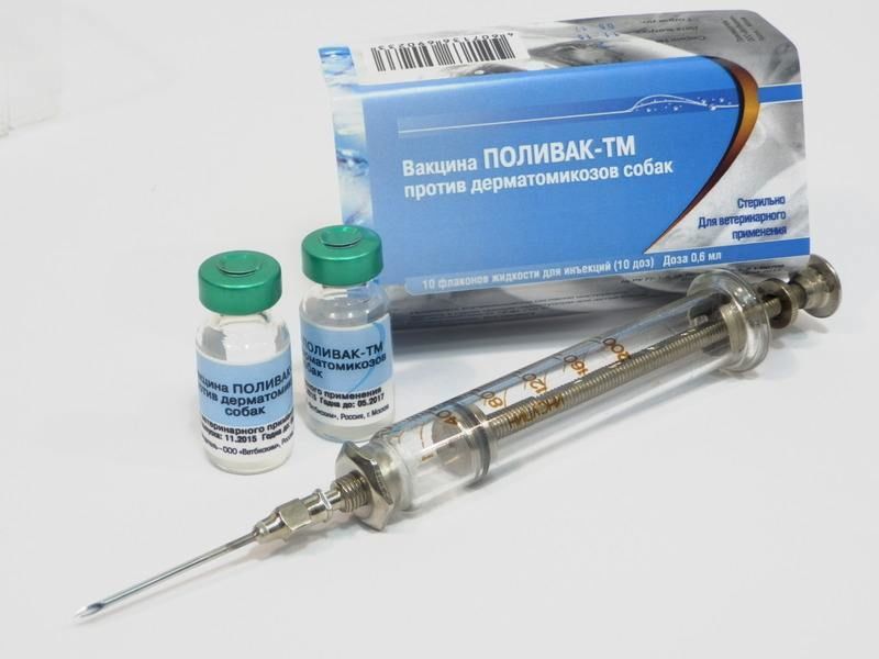 Вакцина поливак для собак: инструкция по применению