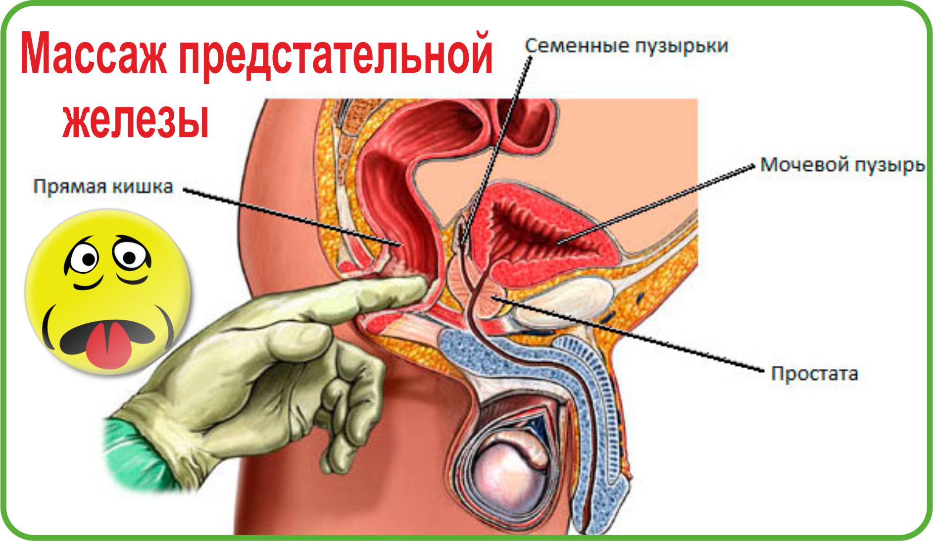 Массаж простаты пальцем самостоятельно