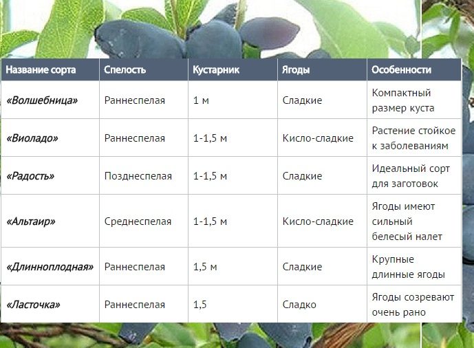 Список № 1