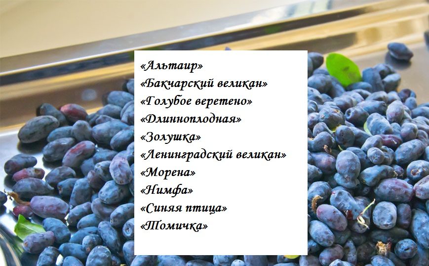 Список
