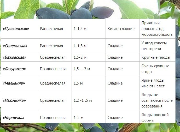 Список № 2
