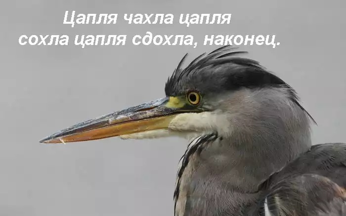 Вариант № 1