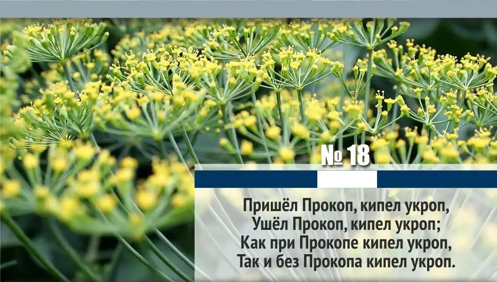 Вариант № 1