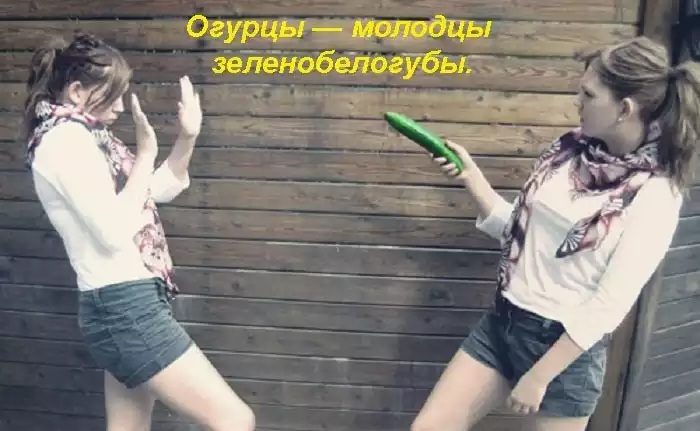 Вариант № 2