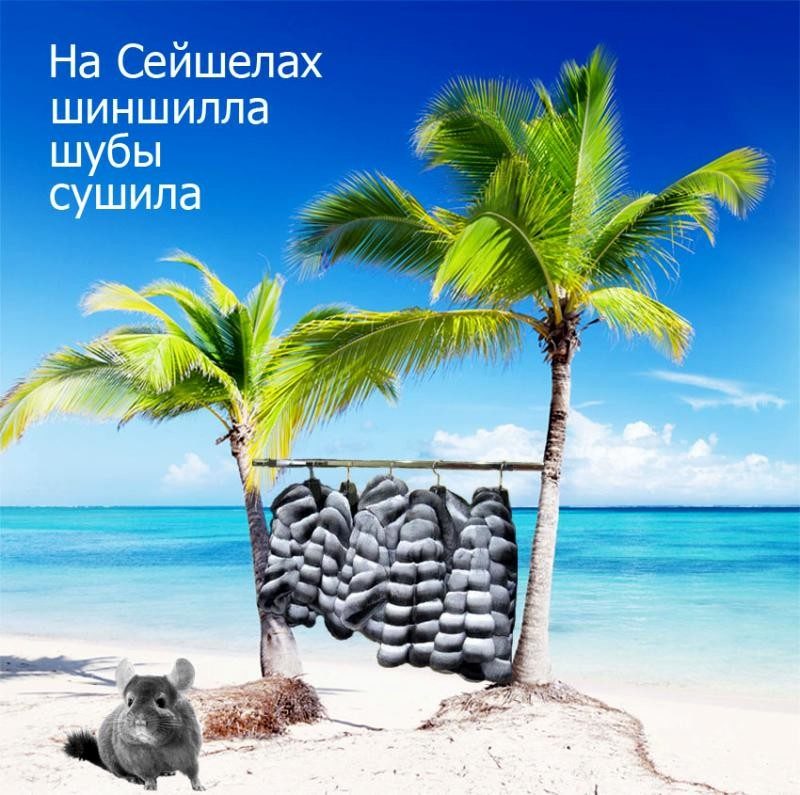 Вариант № 4