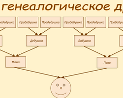 Как самостоятельно узнать родословную, генеалогическое древо своей семьи по фамилии: архивные данные, поиск в интернете, на телепередачах. Способы поиска предков и родственников по фамилии: описание. С чего начать поиск своей родословной?