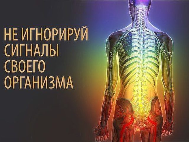 Сигналы тела: о чем говорят наши болезни? О каких заболеваниях говорят синяки, мешки под глазами, налет на языке, запах изо рта, выпадение волос, прыщи на попе, лице, шарики под кожей, растяжки, ранние морщины, седина, заеды, пигментация кожи?