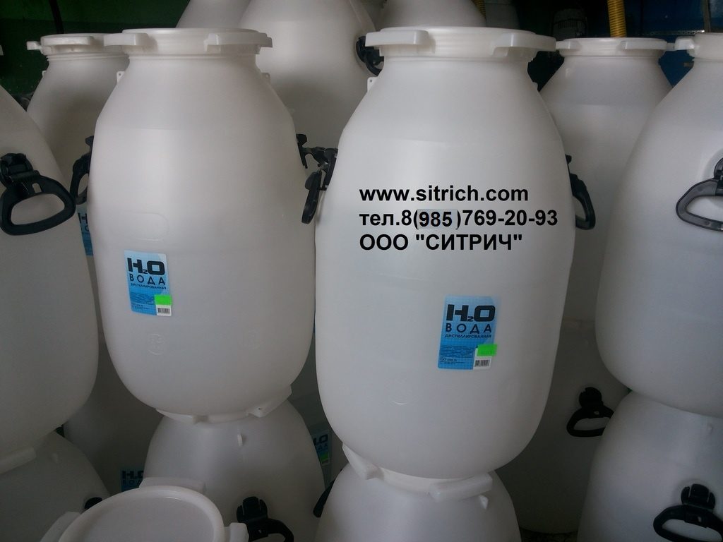 Почему амеба не погибает в дистиллированной воде?