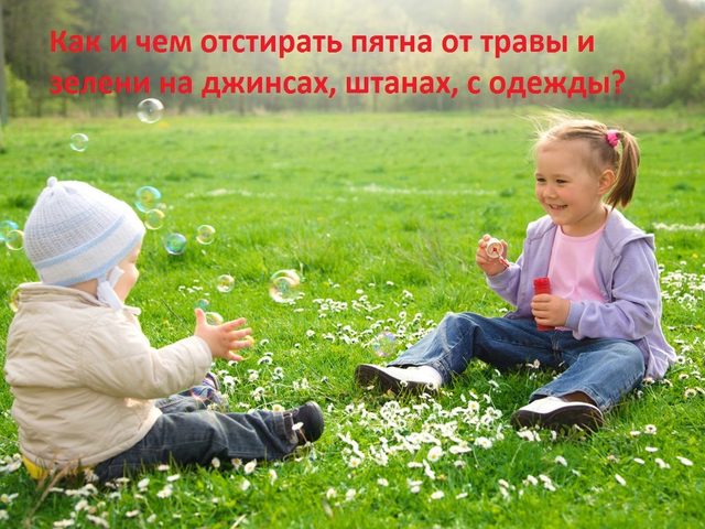 Как и чем отстирать пятна от травы и зелени на джинсах, штанах, с одежды? Старое пятно от травы: чем убрать с джинсов?