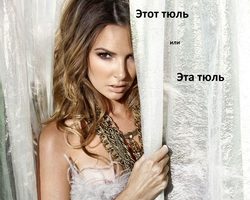 Слово «тюль» — какого рода в русском языке: женского или мужского? Склонение слова тюль по падежам в единственном и множественном числе: таблица. Тюль: изменяемое или неизменяемое слово? Прилагательные и словосочетание со словом тюль: примеры