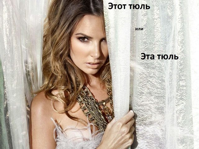 Слово «тюль» — какого рода в русском языке: женского или мужского? Склонение слова тюль по падежам в единственном и множественном числе: таблица. Тюль: изменяемое или неизменяемое слово? Прилагательные и словосочетание со словом тюль: примеры