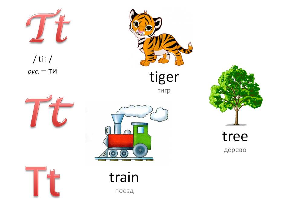 Английский алфавит с озвучкой для детей: буква tt