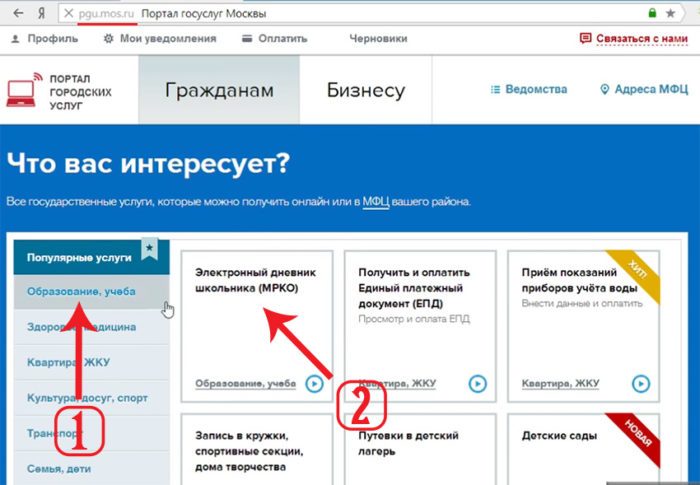 Вход в электронный дневник через pgu