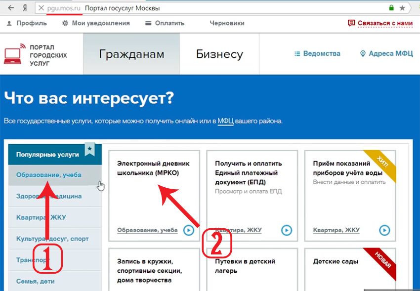 Вход в электронный дневник через pgu
