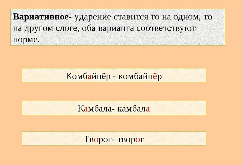 Где в слове камбала должно стоять ударение?