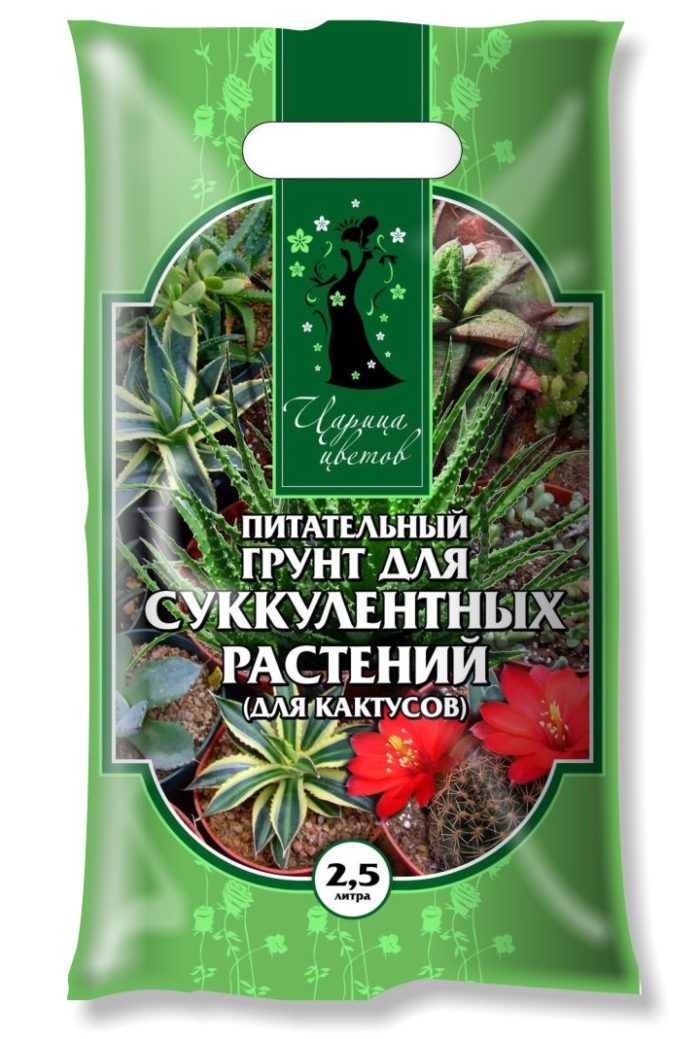 Можно приобрести в магазинах готовый грунт для кактусов