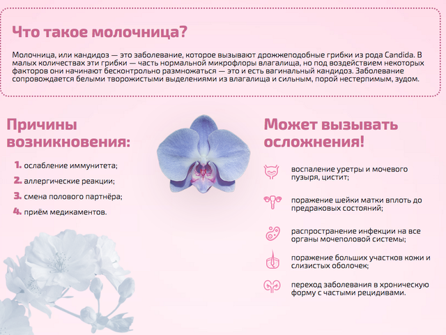 Как вылечить молочницу: лучшие препараты от молочницы у женщин, мужчин и детей, при беременности и грудном вскармливании. Эффективные и недорогие свечи от молочницы, таблетки, мази, крема, спреи, гели: список, инструкция по применению