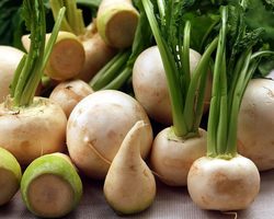 Блюда из репы вкусные и полезные: лучшие рецепты. Как приготовить салат, суп, пюре, кашу, варенье, гарнир из репы, рагу с репой, репу жареную, запеченную, фаршированную, с курицей, мясом: рецепты. Как парить, варить репу, убрать горечь с репы?