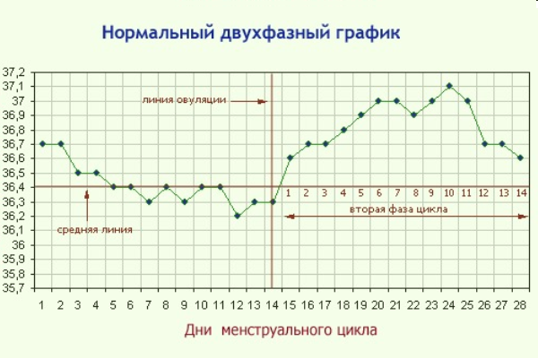 График базальной температуры
