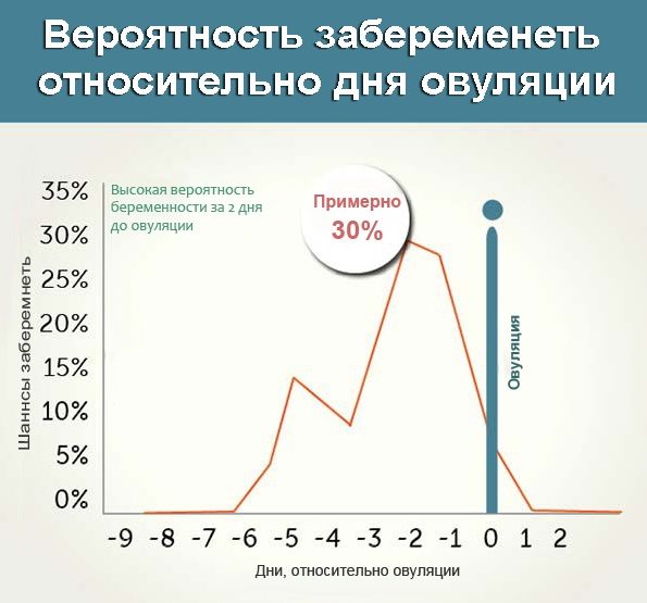 Вероятность беременности