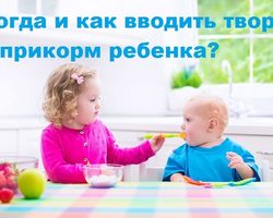 Когда и как вводить творог в прикорм ребенку?