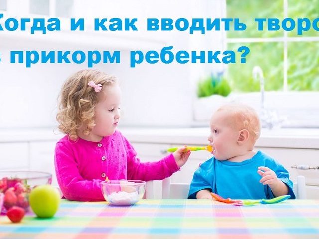 Когда и как вводить творог в прикорм ребенку?