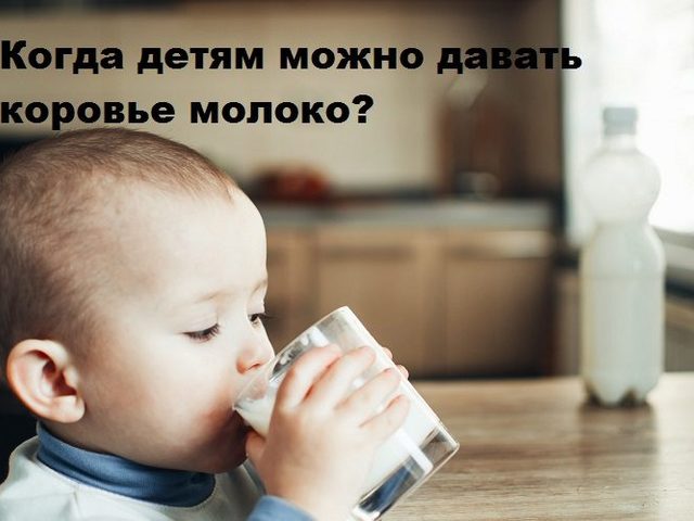 Когда можно давать ребенку коровье молоко: изучаем состав, пользу и вред для детского организма